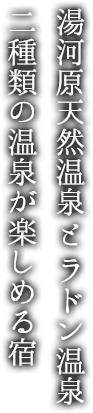 湯河原天然温泉とラドン温泉 二種類の温泉が楽しめる宿