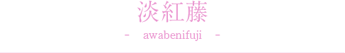 淡紅藤 -awabenifuji-