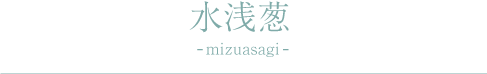 水浅葱 -mizuasagi-